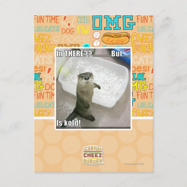 Carte Postale Là-dedans ? C'est froid ! (Devant)