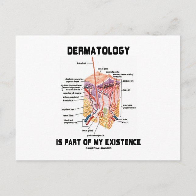 Carte Postale La Dermatologie Fait Partie De Mon Existence (Couc (Devant)
