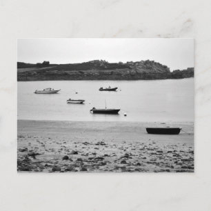 Carte Postale La Douceur du matin