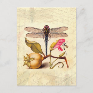 Carte Postale La faune de la libellule