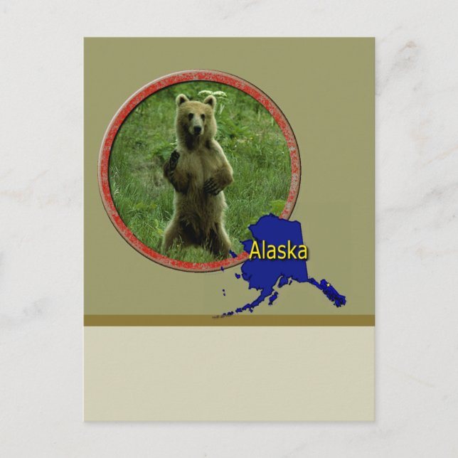 Carte Postale La faune de l'Alaska (Devant)