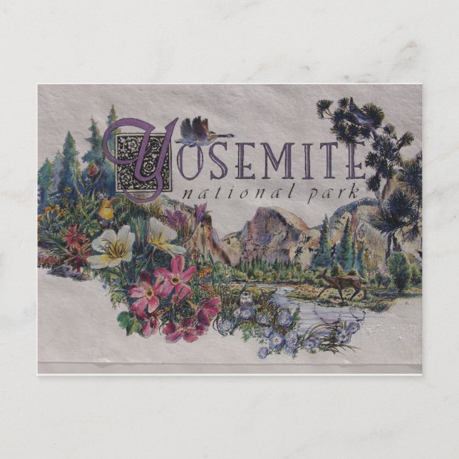 Carte Postale La faune du parc national Yosemite (Devant)