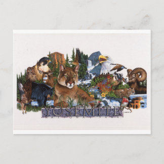Carte Postale La faune du yosemite