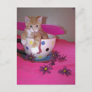 Carte Postale La fée de la tasse de thé