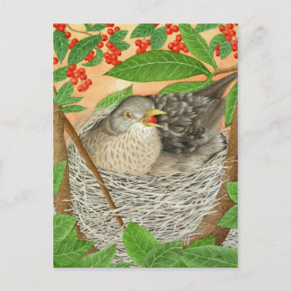 Carte Postale La Femme Blackbird