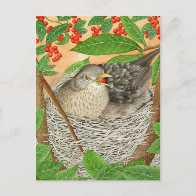 Carte Postale La Femme Blackbird (Devant)