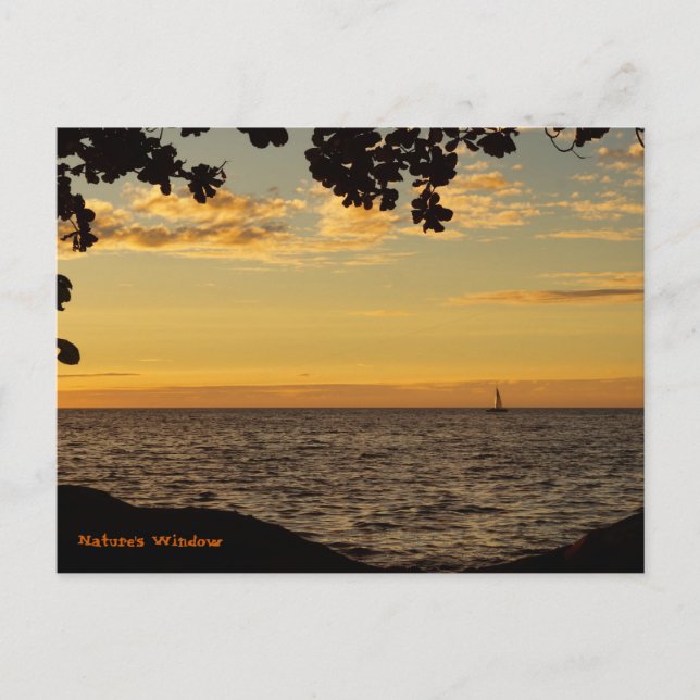Carte Postale La fenêtre de la nature (Devant)