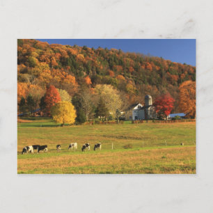 Carte Postale La ferme du Mont Holyoke à l'automne