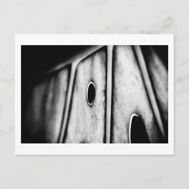 Carte Postale la feuille est chez elle (Devant)