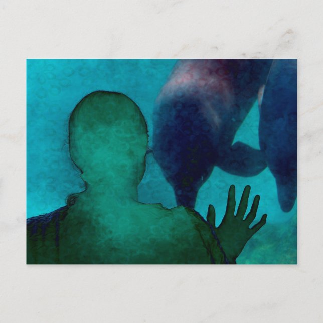 Carte Postale La fille redonne les dauphins grongés (Devant)