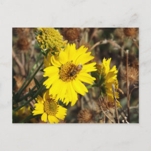 Carte Postale La Fleur et l'abeille