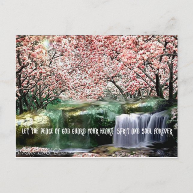 Carte Postale La floraison des cerisiers de paix (Devant)