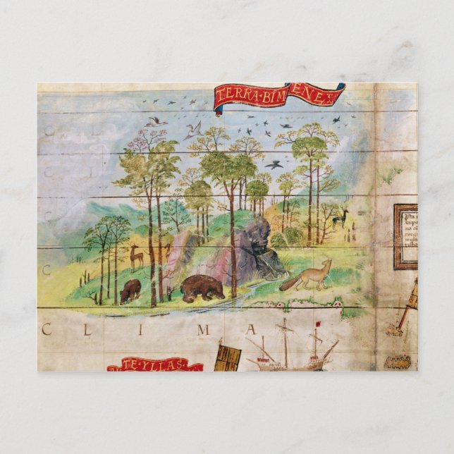 Carte Postale La forêt canadienne (Devant)
