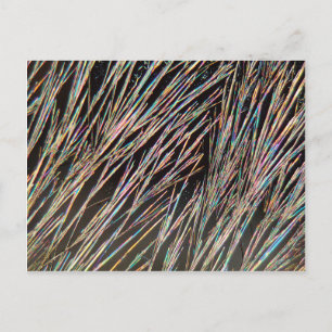 Carte Postale La forme du parfum : cristaux de coumarine