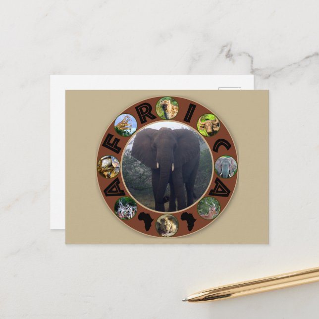 Carte Postale La fosse aux éléphants du cercle de la faune afric (Devant/Arrière en situation)