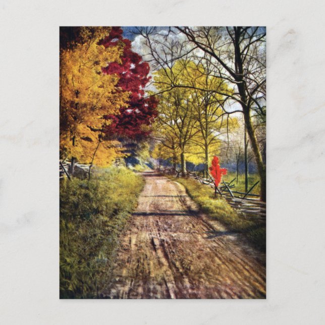 Carte Postale La gloire des arbres d'automne (Devant)