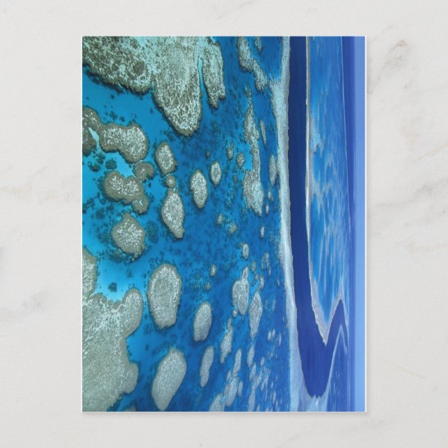 Carte Postale La Grande Barrière De Corail (Devant)