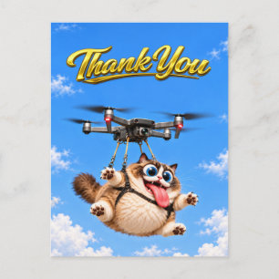 Carte Postale La Grande Catastrophe Aérienne du Gros Chat Drone