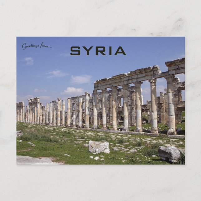 Carte Postale La Grande Colonnade à Apamea Syrie (Devant)