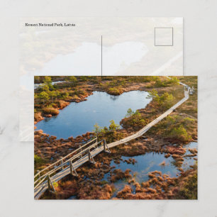 Carte Postale La grande passerelle du marais de Kemeri, Lettonie
