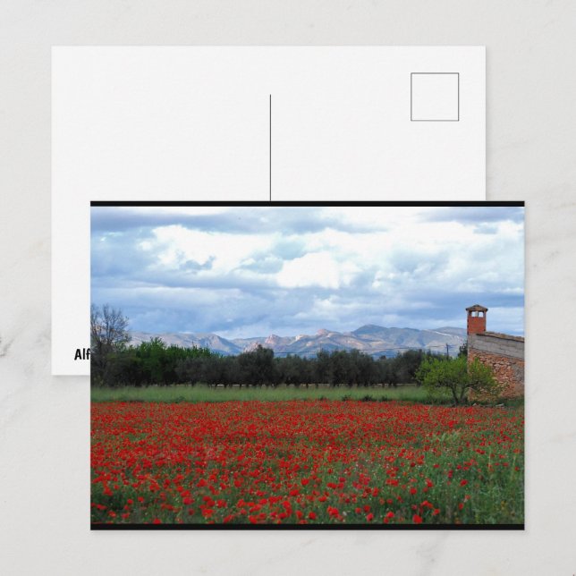 Carte Postale La grange de campagne dans le champ de coquelicots (Devant / Derrière)