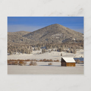 Carte Postale La grange en bois s'assoit dans la neige près du B