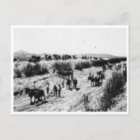 La Gravure Du Canal De L'Arizona
