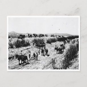 Carte Postale La Gravure Du Canal De L'Arizona
