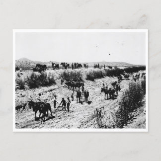 Carte Postale La Gravure Du Canal De L'Arizona