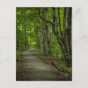Carte Postale La Grove sacrée en été