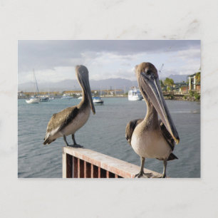 Carte Postale La Guancha en Ponce