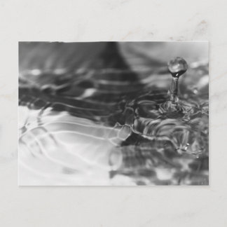 Carte Postale La jolie eau