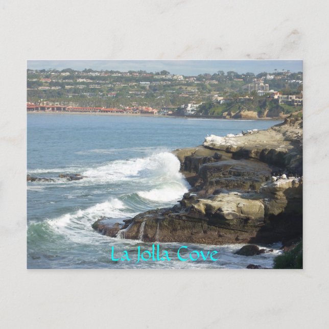 Carte Postale La Jolla Cove (Devant)