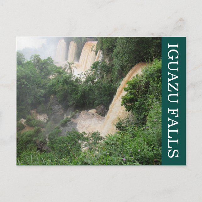 Carte Postale la jungle des chutes d'iguazu (Devant)