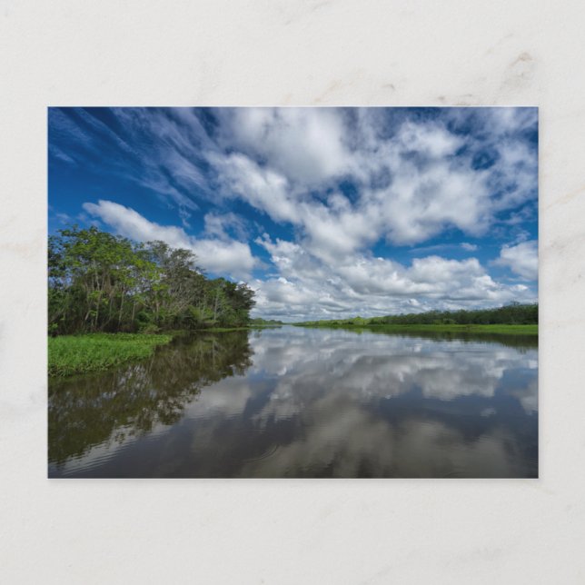 Carte Postale La jungle péruvienne reflète (Devant)