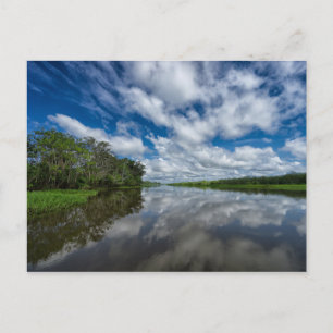 Carte Postale La jungle péruvienne reflète