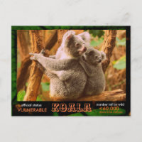 LA KOALA (Ours) est en danger, lisez ceci : -