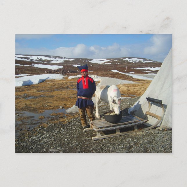 Carte Postale La Laponie, règlement de Sámi avec la tente et la (Devant)