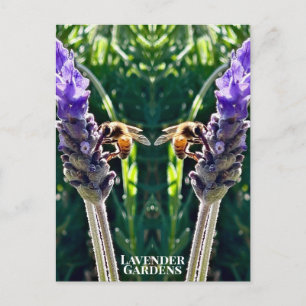 Carte Postale La Lavande et l'Abeille