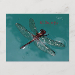 Carte Postale La libellule