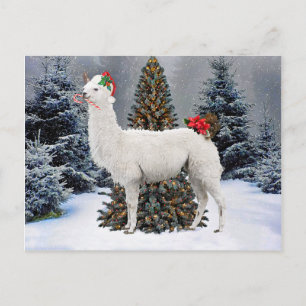 Carte postale "La Llama de Noël"