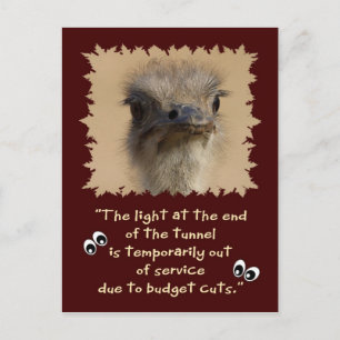Carte Postale La lumière à la fin 2