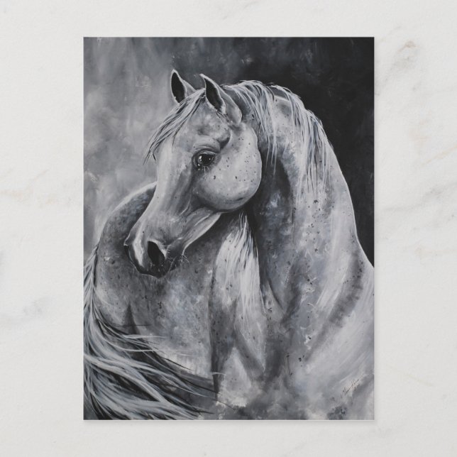 Carte Postale La lumière du matin (Devant)