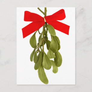 Carte Postale La main d'une femme tenant une pointe de mistletoe