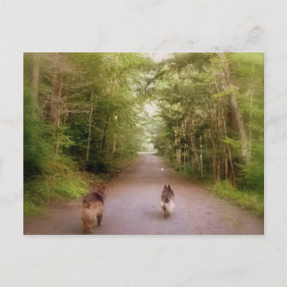 Carte Postale La maison de la route