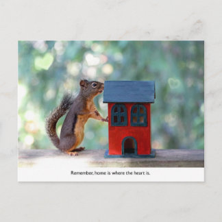 Carte Postale La maison est là où le coeur est l'écureuil
