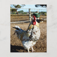 **"La Majesté tachetée : le coq de ferme moucheté"