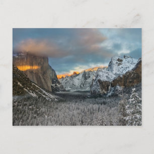Carte Postale La marque de l'hiver
