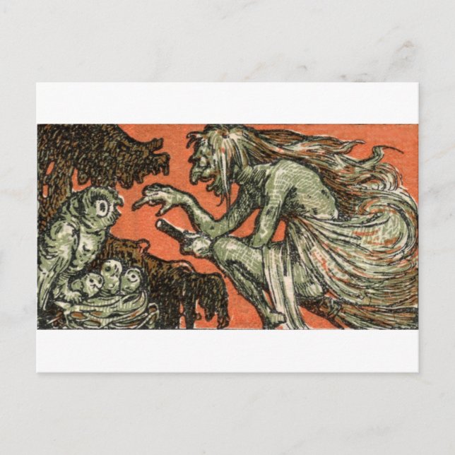 Carte Postale La méchante sorcière et les hiboux (Devant)