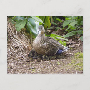 Carte Postale La meilleure mère du monde